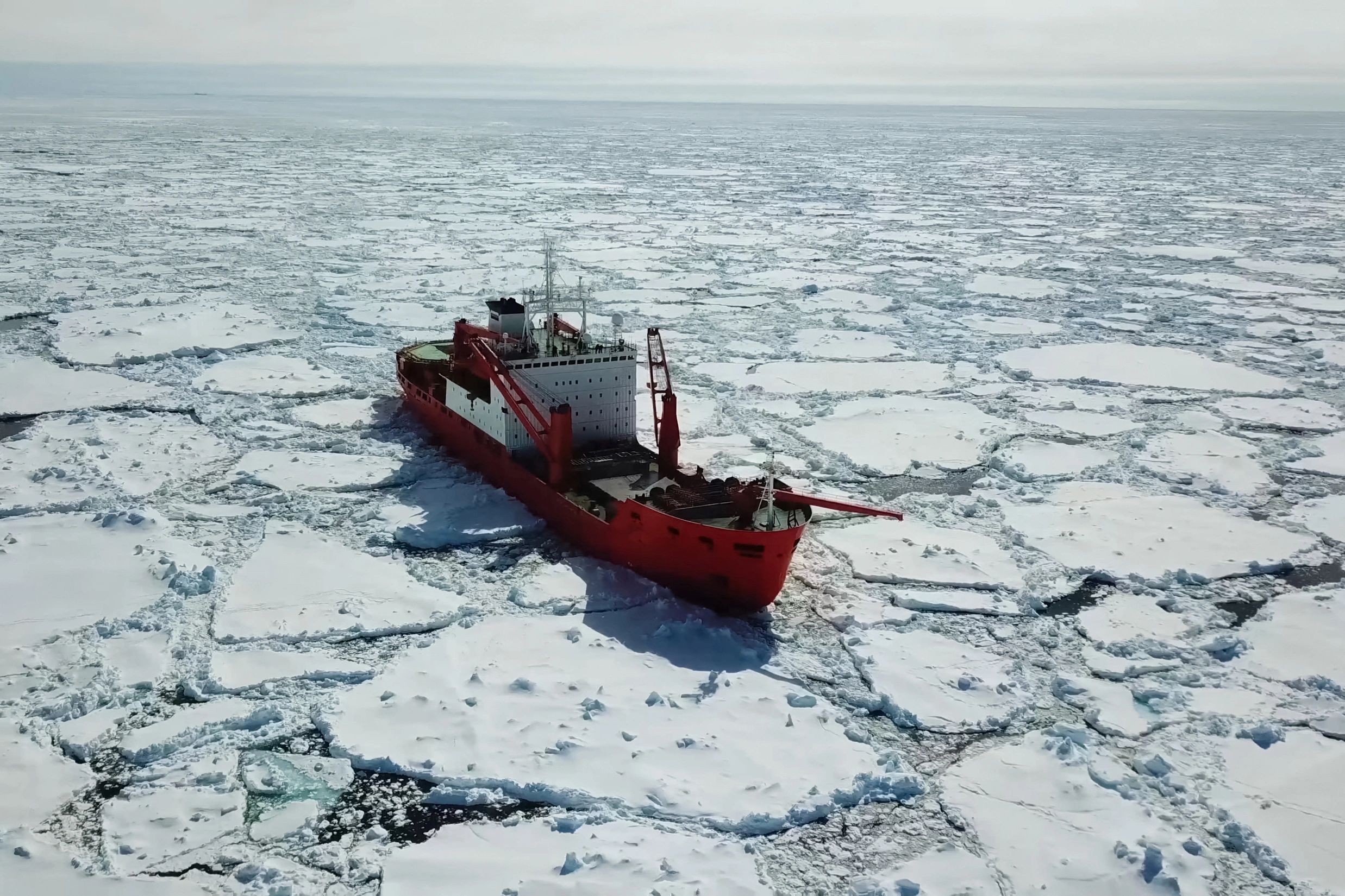 disaster relief technology arctic team